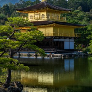 Japan: Nuclear Energy Updates