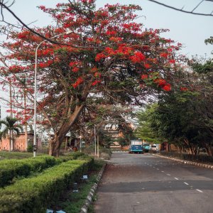 Nigeria: How To Reach The Hardest-To-Reach Climate Target Group