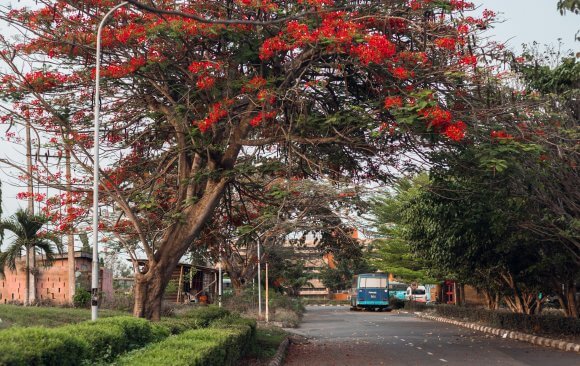 Nigeria: How To Reach The Hardest-To-Reach Climate Target Group