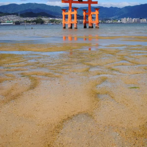 Japan 94 Japan: Sea Level Rise