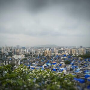 India: Climate Mitigation & Economic Development