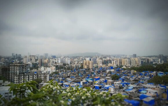 India: Climate Mitigation & Economic Development