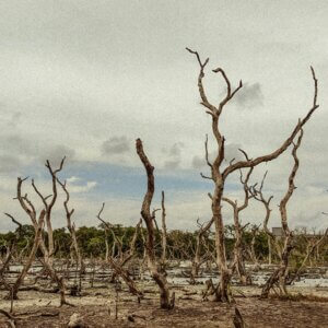 India 97 India: Climate Change and Artificial Intelligence