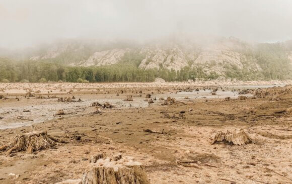 France 99 France: Country Water Resources