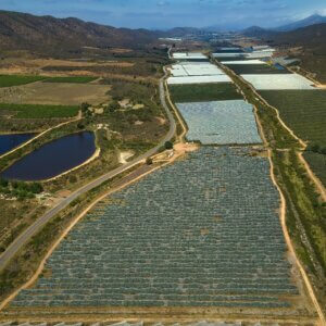 South Africa: Country Water Resources