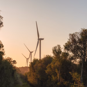 Australia 100 Australia: The Status of Solar and Wind Energy