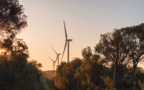 Australia 100 Australia: The Status of Solar and Wind Energy