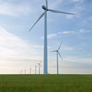 France 100 France: The Status of Solar and Wind Energy