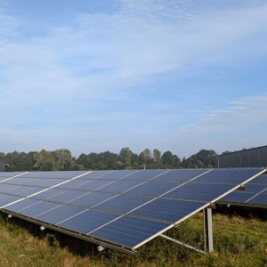 Germany 100 Germany: The Status of Solar and Wind Energy