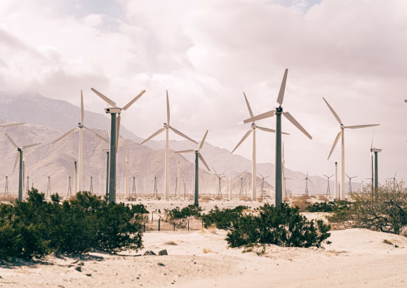 US: The Status of Solar and Wind Energy