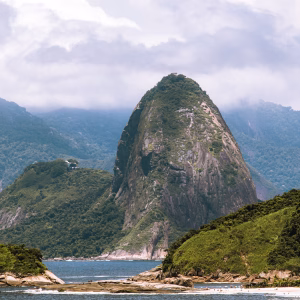 Brazil 101 Brazil: The Most Effective Climate NGOs