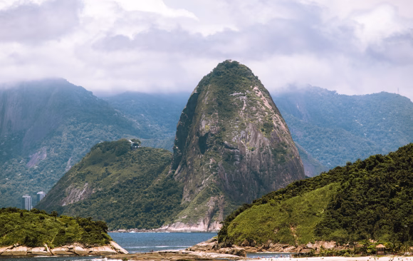 Brazil: The Most Effective Climate NGOs