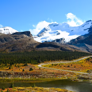 Canada 101 Canada: The Most Effective Climate NGOs