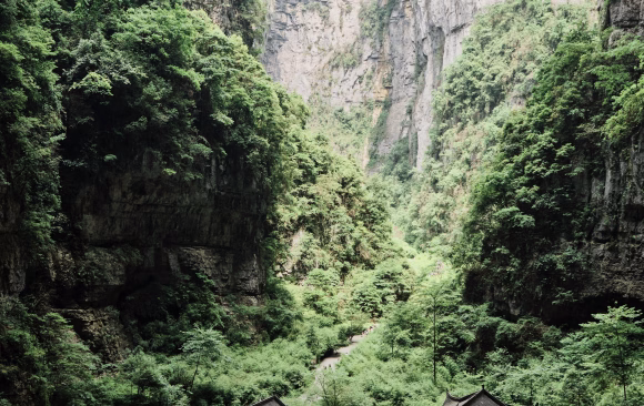 China: The Most Effective Climate NGOs
