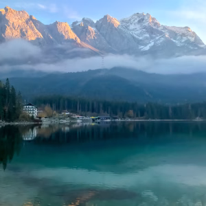 Germany 101 Germany: The Most Effective Climate NGOs