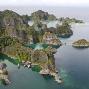 Indonesia 101 Indonesia: The Most Effective Climate NGOs
