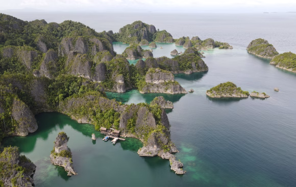 Indonesia: The Most Effective Climate NGOs