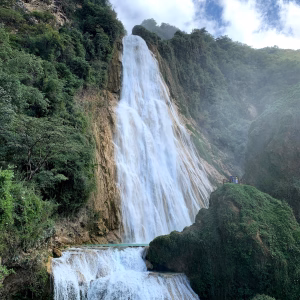 Mexico 101 Mexico: The Most Effective Climate NGOs