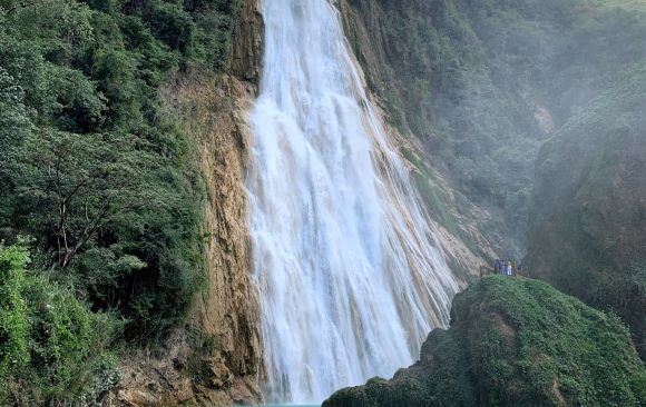 Mexico: The Most Effective Climate NGOs