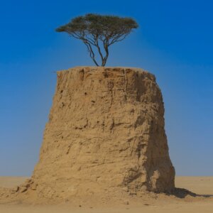 Saudi Arabia 101_copy Saudi Arabia: The Most Effective Climate NGOs