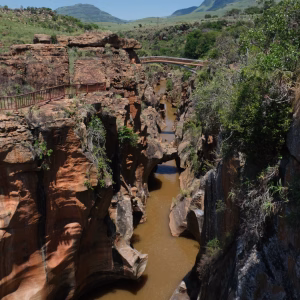 South Africa 101 South Africa: The Most Effective Climate NGOs