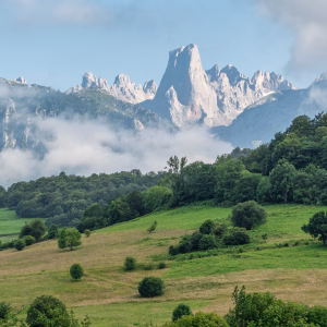 Spain 101 Spain: The Most Effective Climate NGOs