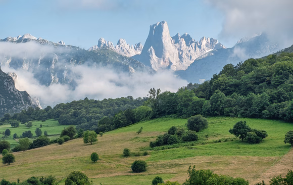 Spain: The Most Effective Climate NGOs