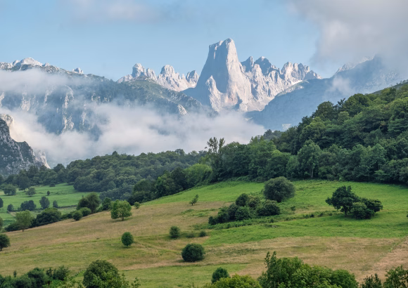 Spain: The Most Effective Climate NGOs