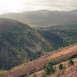 UK 101 UK: The Most Effective Climate NGOs