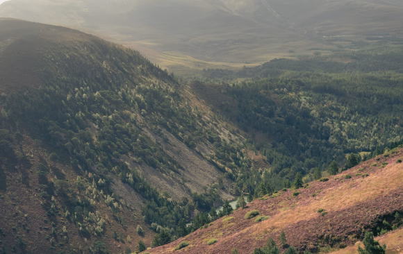 UK: The Most Effective Climate NGOs