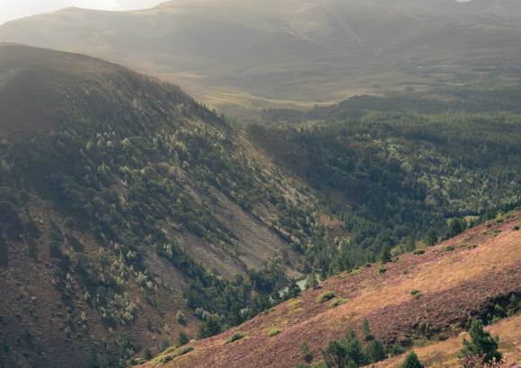 UK: The Most Effective Climate NGOs