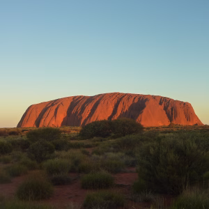 Australia: The Most Effective Climate NGOs