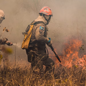 Brazil: Current Emission Levels