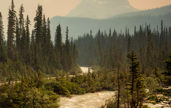 Canada 103 Canada: Weather Patterns and Climate Change
